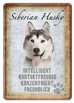 PIES TABLICZKA METALOWY SZYLD PLAKAT RETRO #11816