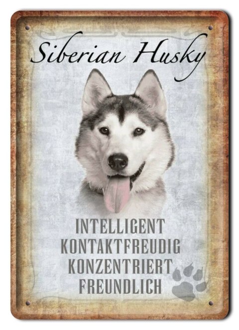 PIES TABLICZKA METALOWY SZYLD PLAKAT RETRO #11816