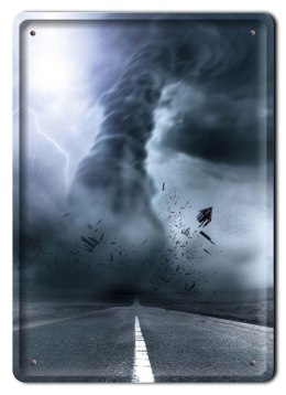 PLAKAT METALOWY SZYLD OBRAZEK RETRO VINTAGE #10503