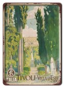 PLAKAT METALOWY SZYLD OBRAZEK VINTAGE RETRO #05994
