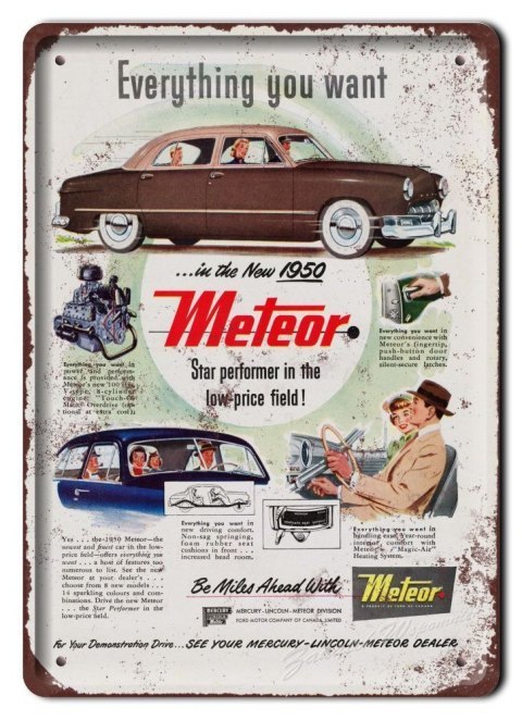 PLAKAT METALOWY SZYLD OBRAZEK VINTAGE RETRO #05997
