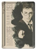 PLAKAT METALOWY SZYLD RETRO HARRY POTTER #11976