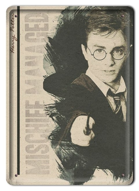 PLAKAT METALOWY SZYLD RETRO HARRY POTTER #11976
