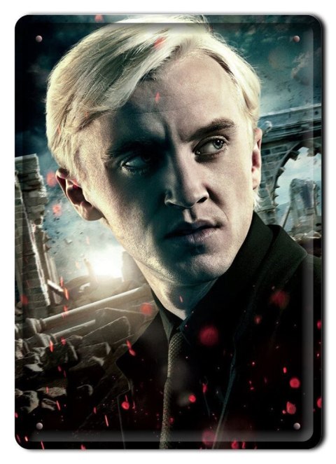 PLAKAT METALOWY SZYLD RETRO HARRY POTTER #11980