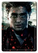 PLAKAT METALOWY SZYLD RETRO HARRY POTTER #11984