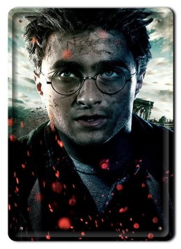 PLAKAT METALOWY SZYLD RETRO HARRY POTTER #11984