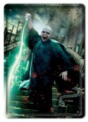 PLAKAT METALOWY SZYLD RETRO HARRY POTTER #11987