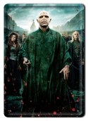 PLAKAT METALOWY SZYLD RETRO HARRY POTTER #11988