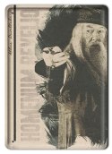 PLAKAT METALOWY SZYLD RETRO HARRY POTTER #11989