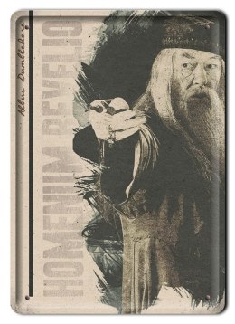 PLAKAT METALOWY SZYLD RETRO HARRY POTTER #11989