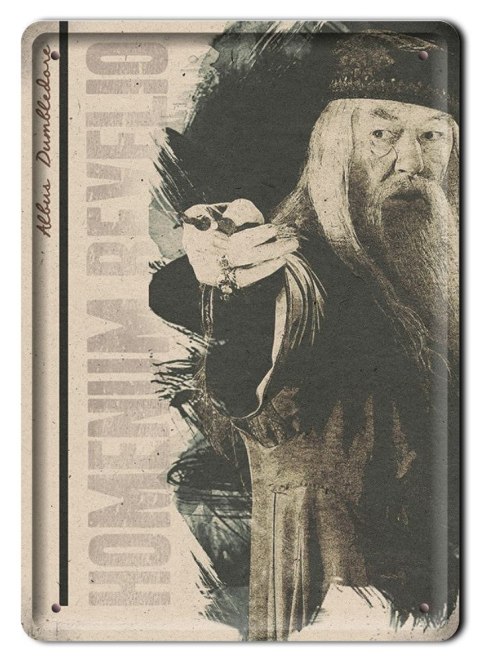 PLAKAT METALOWY SZYLD RETRO HARRY POTTER #11989