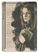 PLAKAT METALOWY SZYLD RETRO HARRY POTTER #11990