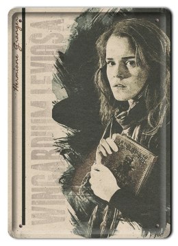 PLAKAT METALOWY SZYLD RETRO HARRY POTTER #11990