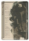 PLAKAT METALOWY SZYLD RETRO HARRY POTTER #11991
