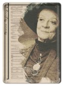PLAKAT METALOWY SZYLD RETRO HARRY POTTER #11993