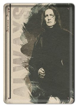 PLAKAT METALOWY SZYLD RETRO HARRY POTTER #11998