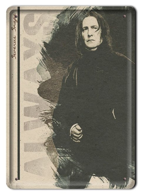 PLAKAT METALOWY SZYLD RETRO HARRY POTTER #11998