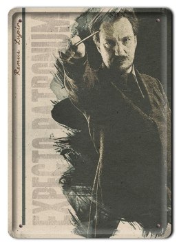 PLAKAT METALOWY SZYLD RETRO HARRY POTTER #11999