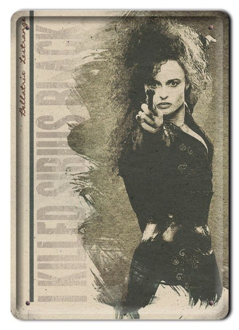 PLAKAT METALOWY SZYLD RETRO HARRY POTTER #12003