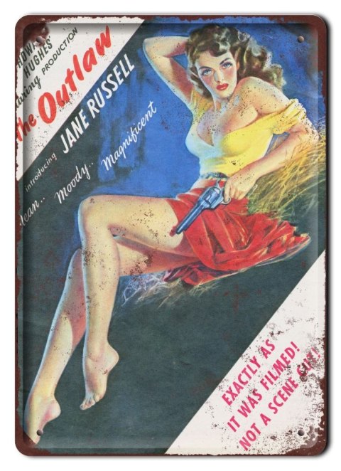 PLAKAT METALOWY SZYLD TABLICZKA RETRO #11022