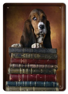 PLAKAT METALOWY SZYLD TABLICZKA RETRO #11121
