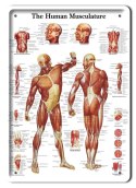 PLAKAT METALOWY SZYLD TABLICZKA RETRO #11395