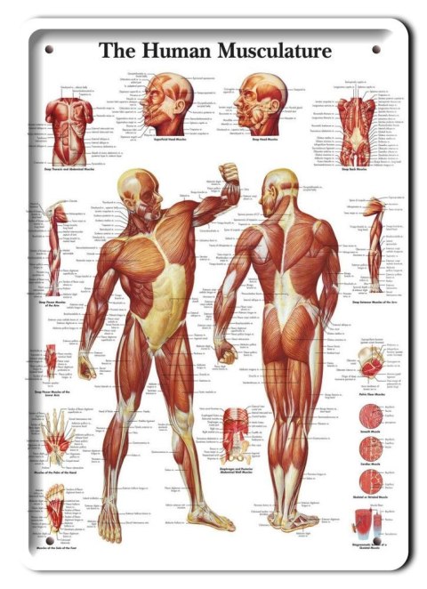 PLAKAT METALOWY SZYLD TABLICZKA RETRO #11395