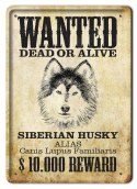 PLAKAT METALOWY SZYLD TABLICZKA RETRO #11592