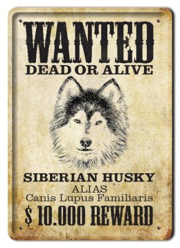 PLAKAT METALOWY SZYLD TABLICZKA RETRO #11592