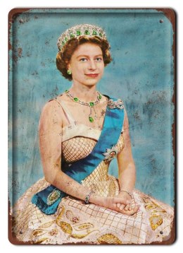 POLITYKA METALOWY SZYLD VINTAGE RETRO #05471
