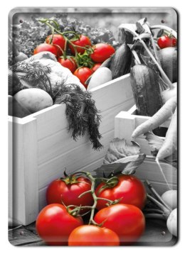 POMIDORY PLAKAT METALOWY SZYLD RETRO VINTAGE #11493