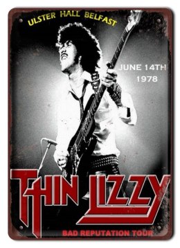ROCK PLAKAT METALOWY SZYLD OBRAZEK RETRO #10781
