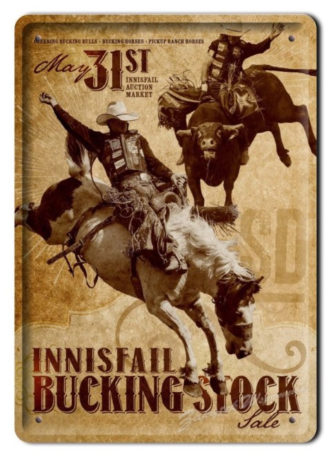 RODEO METALOWY SZYLD PLAKAT OBRAZEK RETRO #01610