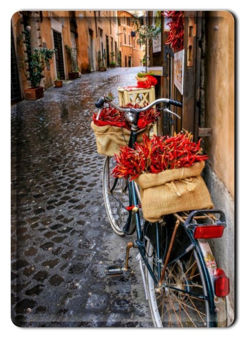 ROWER KWIATY METALOWY SZYLD VINTAGE RETRO #09337