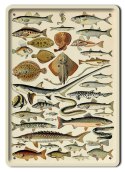 ZOOLOGIA PLAKAT METALOWY SZYLD OBRAZEK #21095