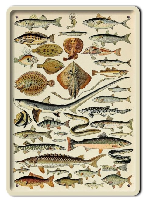 ZOOLOGIA PLAKAT METALOWY SZYLD OBRAZEK #21095
