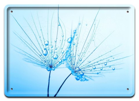 DMUCHAWCE PLAKAT METALOWY SZYLD RETRO #11488