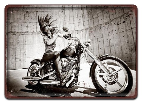 HARLEY METALOWY SZYLD PLAKAT RETRO VINTAGE #10286