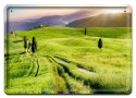 PLAKAT METALOWY SZYLD OBRAZEK RETRO #10733