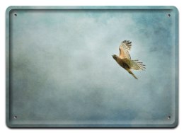 PLAKAT METALOWY SZYLD OBRAZEK RETRO VINTAGE #10476