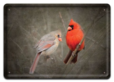 PLAKAT METALOWY SZYLD OBRAZEK RETRO VINTAGE #10492