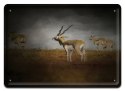PLAKAT METALOWY SZYLD OBRAZEK RETRO VINTAGE #10495