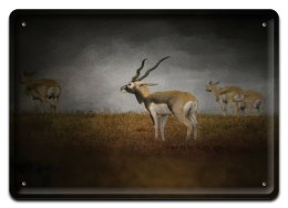 PLAKAT METALOWY SZYLD OBRAZEK RETRO VINTAGE #10495