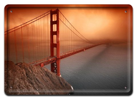 PLAKAT METALOWY SZYLD OBRAZEK RETRO VINTAGE #10692