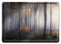 PLAKAT METALOWY SZYLD OBRAZEK RETRO VINTAGE #10717