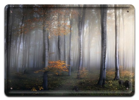PLAKAT METALOWY SZYLD OBRAZEK RETRO VINTAGE #10717