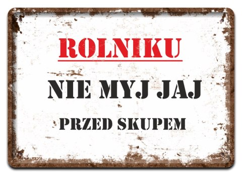 PLAKAT METALOWY SZYLD OBRAZEK TABLICZKA RETRO #12544