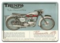PLAKAT METALOWY SZYLD RETRO TRIUMPH #11935
