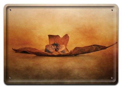 PLAKAT METALOWY SZYLD TABLICZKA RETRO VINTAGE #11196