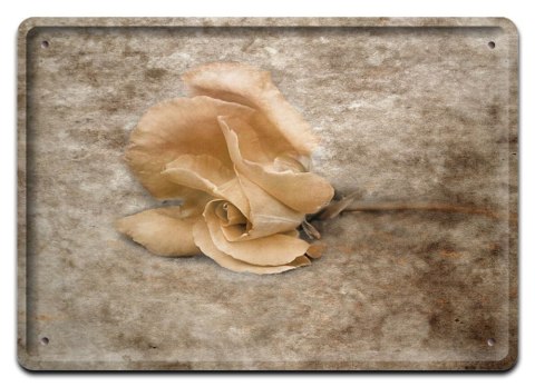 PLAKAT METALOWY SZYLD TABLICZKA RETRO VINTAGE #11210